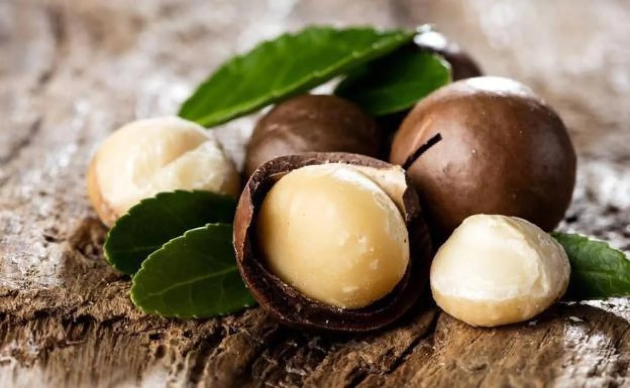 Macadamia Varieties