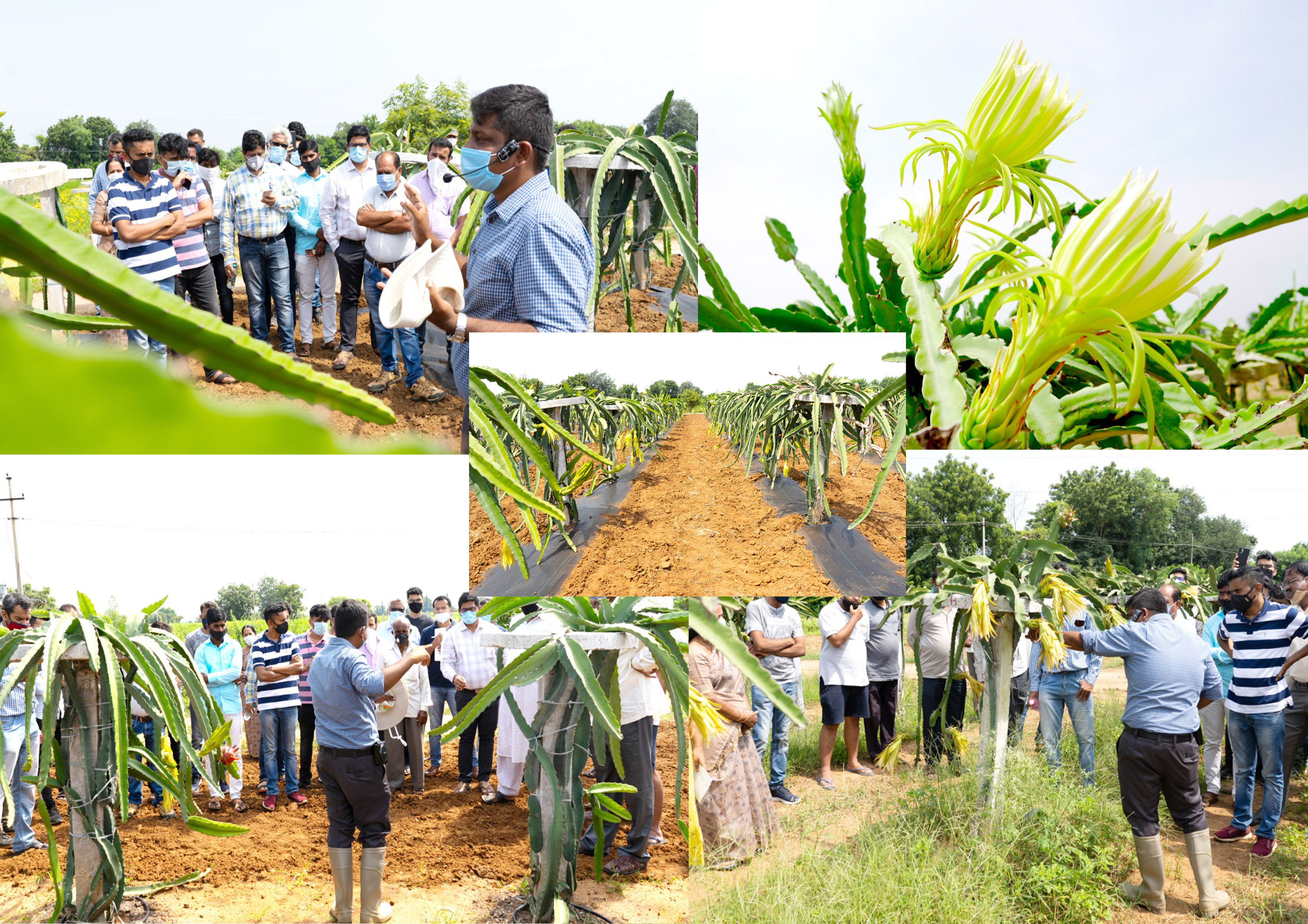 Farm visit to Deccanexotics by farmers and enthusiasts across 9 different states