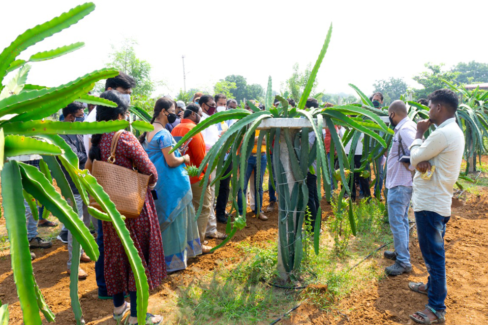 Farm visit to Deccan exotics dragon fruit farm continues and farmers across India
