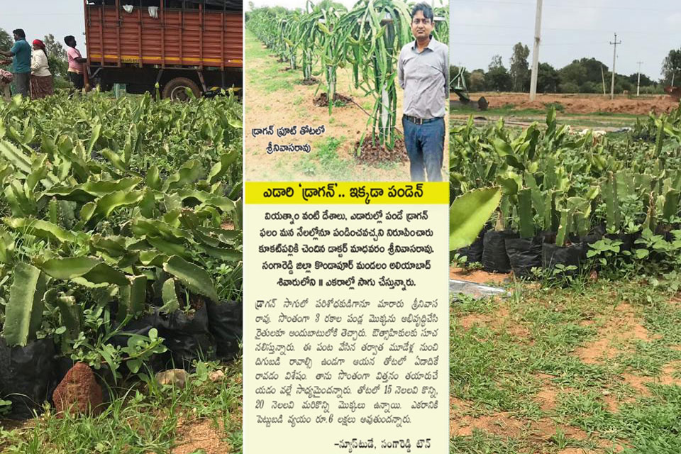 Our largest dragon-fruit farm story printed one of most popular Eenadu newspaper in AP & Telanagna this Month 10-August-2019.