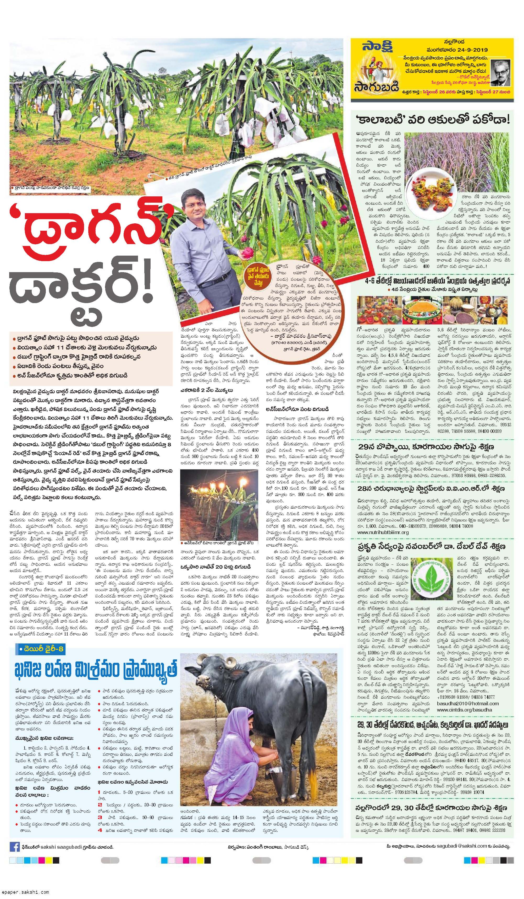 'Dragon Doctor' Our largest dragon-fruit farm story printed one of most popular Sakshi newspaper